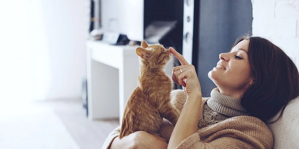 A woman relaxing on a sofa playfully booping the nose of a ginger cat with her finger - illustrating the bond between cat owners and their pets that The Cat Butler franchise is built around