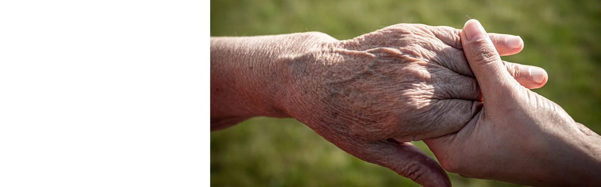 Close-up of a younger hand gently holding an elderly person's hand outdoors, representing care franchise opportunities in the UK.